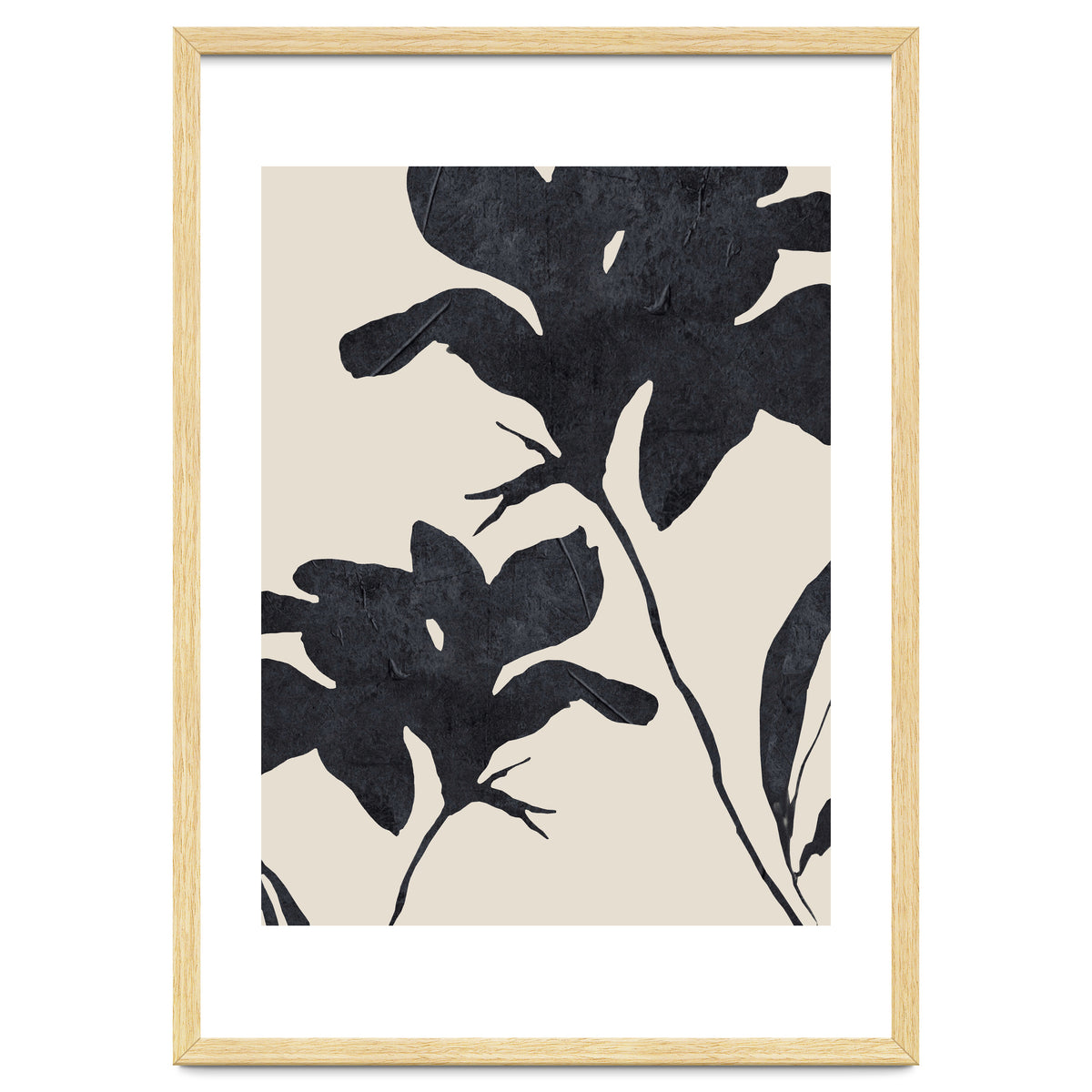 Shadowed Blooms