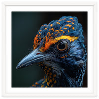 Close Up Of A Colorful Bird Head And Eye
