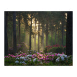 Rhododendron forest (Print Only) thumbnail