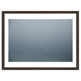 Flying Segulls in thet winter sky thumbnail