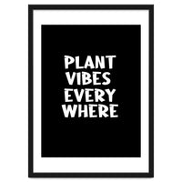 Plant vibes everywhere