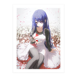 141 (Print Only) thumbnail
