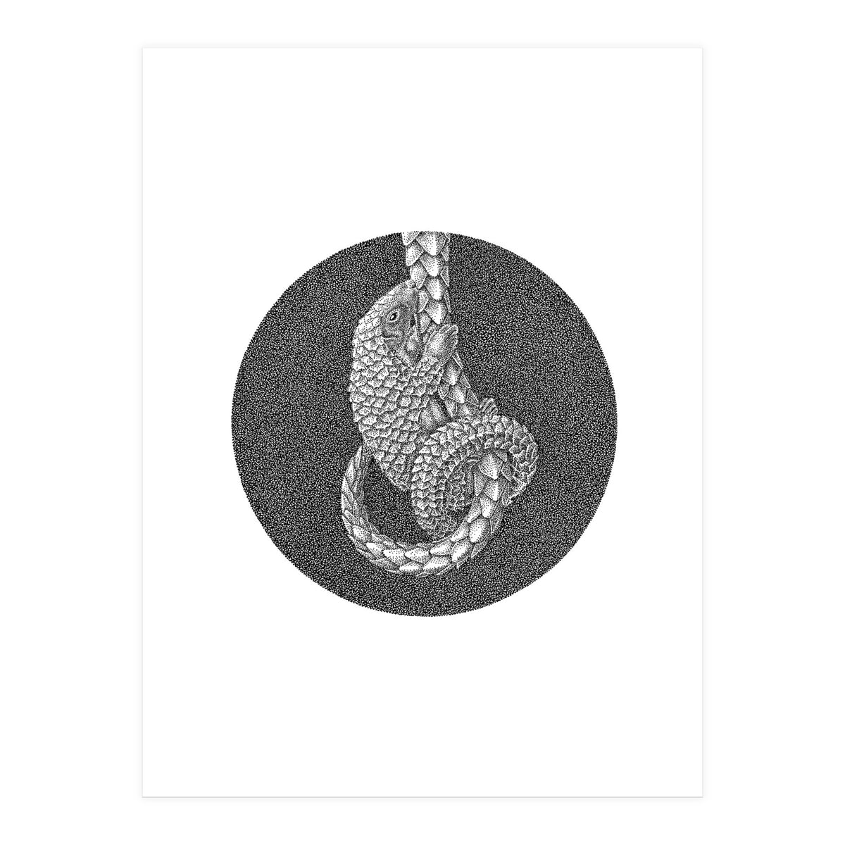 Pangolin no. 3 (Print Only)