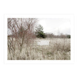 Abandoned Sofa in the middle of nowhere (Print Only) thumbnail