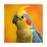 Close Up Cockatiel Parrot With Yellow Crest (Print Only) thumbnail