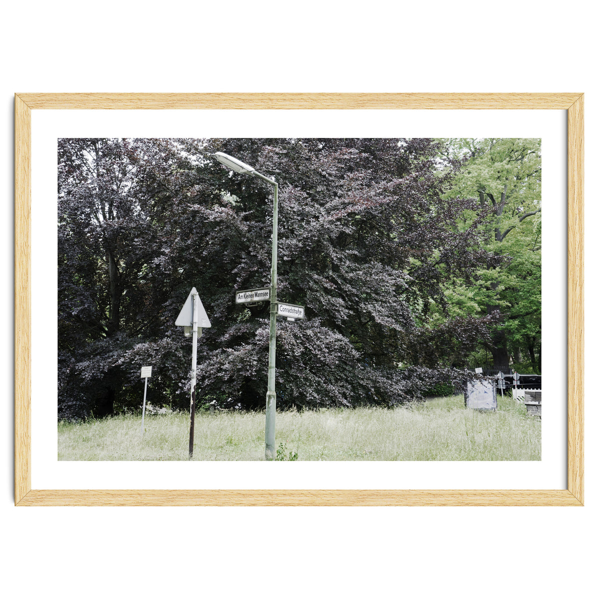 Signs at the corner of the street