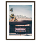 Palm Springs Pink thumbnail