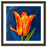 Lily Fresh