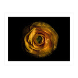Backyard Flowers No 72 Color Version (Print Only) thumbnail