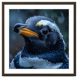 Macro view of a Penguin with Water Droplets thumbnail