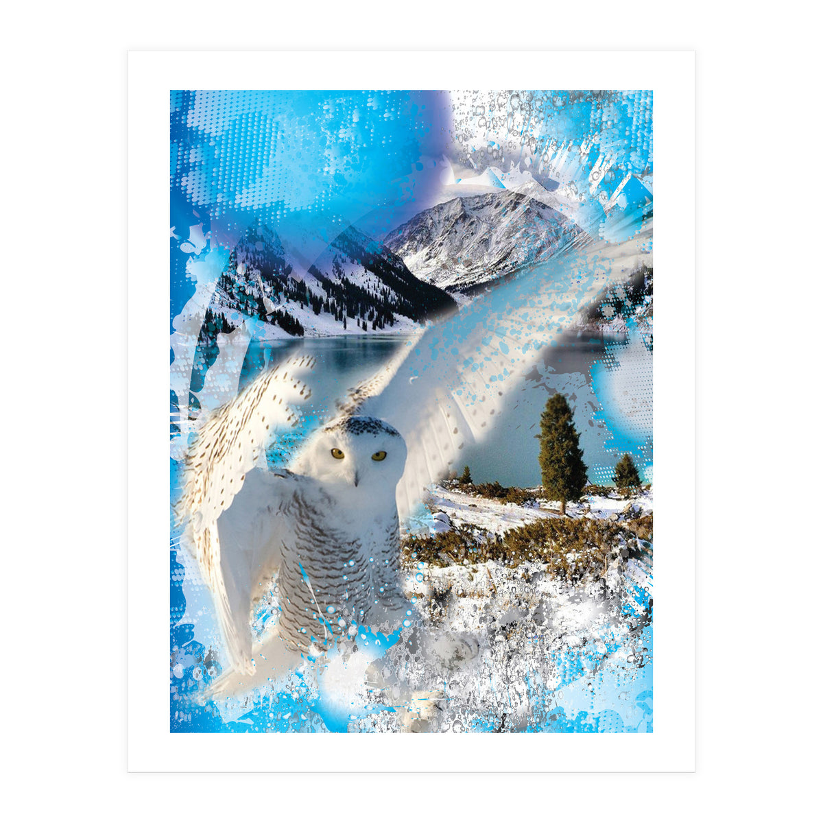 Snow Owl (Print Only)