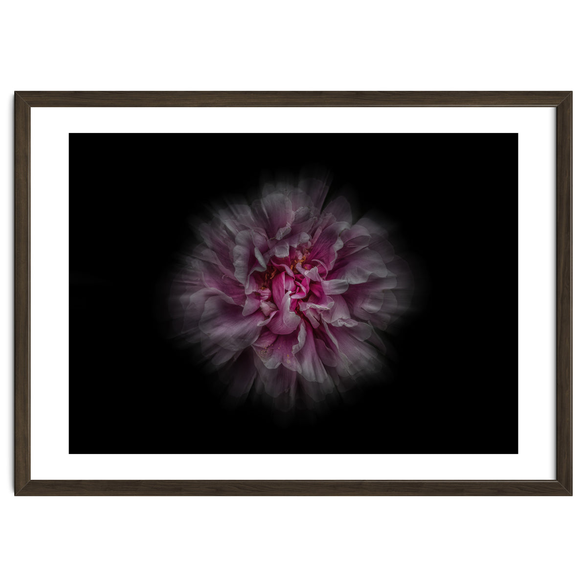 Backyard Flowers No 116 Color Flow Version