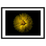 Backyard Flowers No 10 Color Version thumbnail