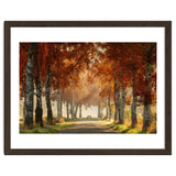 Red autumn thumbnail