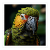 Close Up Of A Colorful Macaw Parrot Face (Print Only) thumbnail