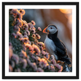 Puffin Bird On Rocks Near Pink Flowers At Sunset thumbnail