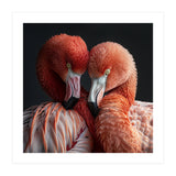 Close Up Of Two Flamingos Nuzzling Together (Print Only) thumbnail