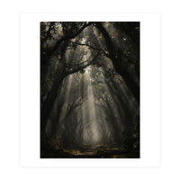 Enchanted Canopy: Mystical Forest Path (Print Only)