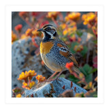 Bird Perched On A Rock With Flowers (Print Only) thumbnail