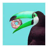 Sweet Toucan (Print Only) thumbnail