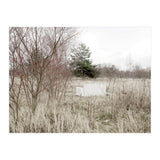 Abandoned Sofa in the middle of nowhere (Print Only) thumbnail