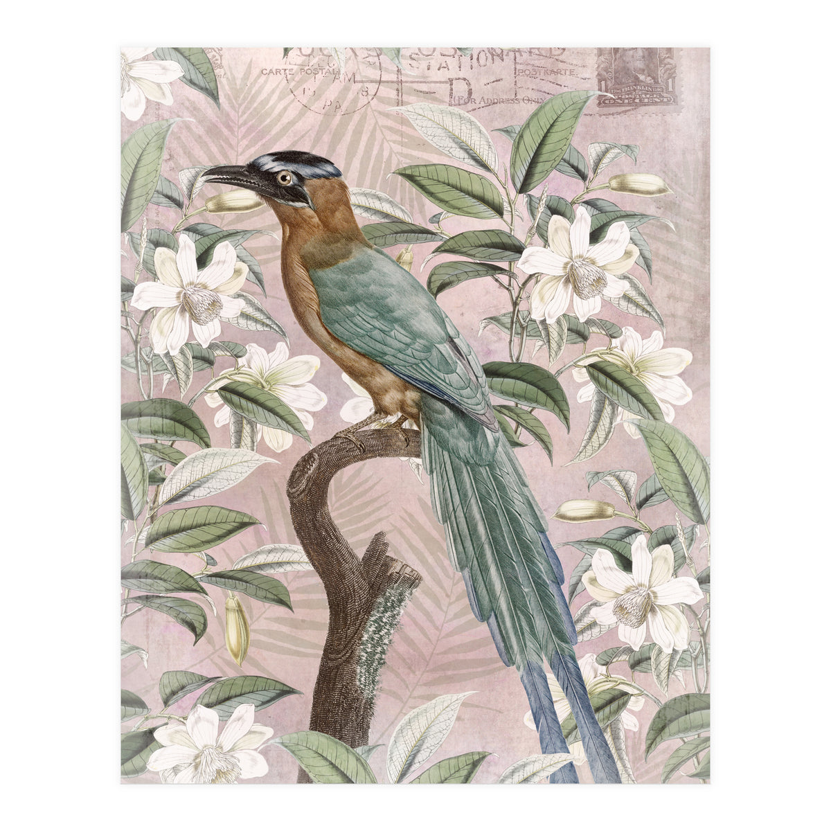 Exotic Bird (Print Only)