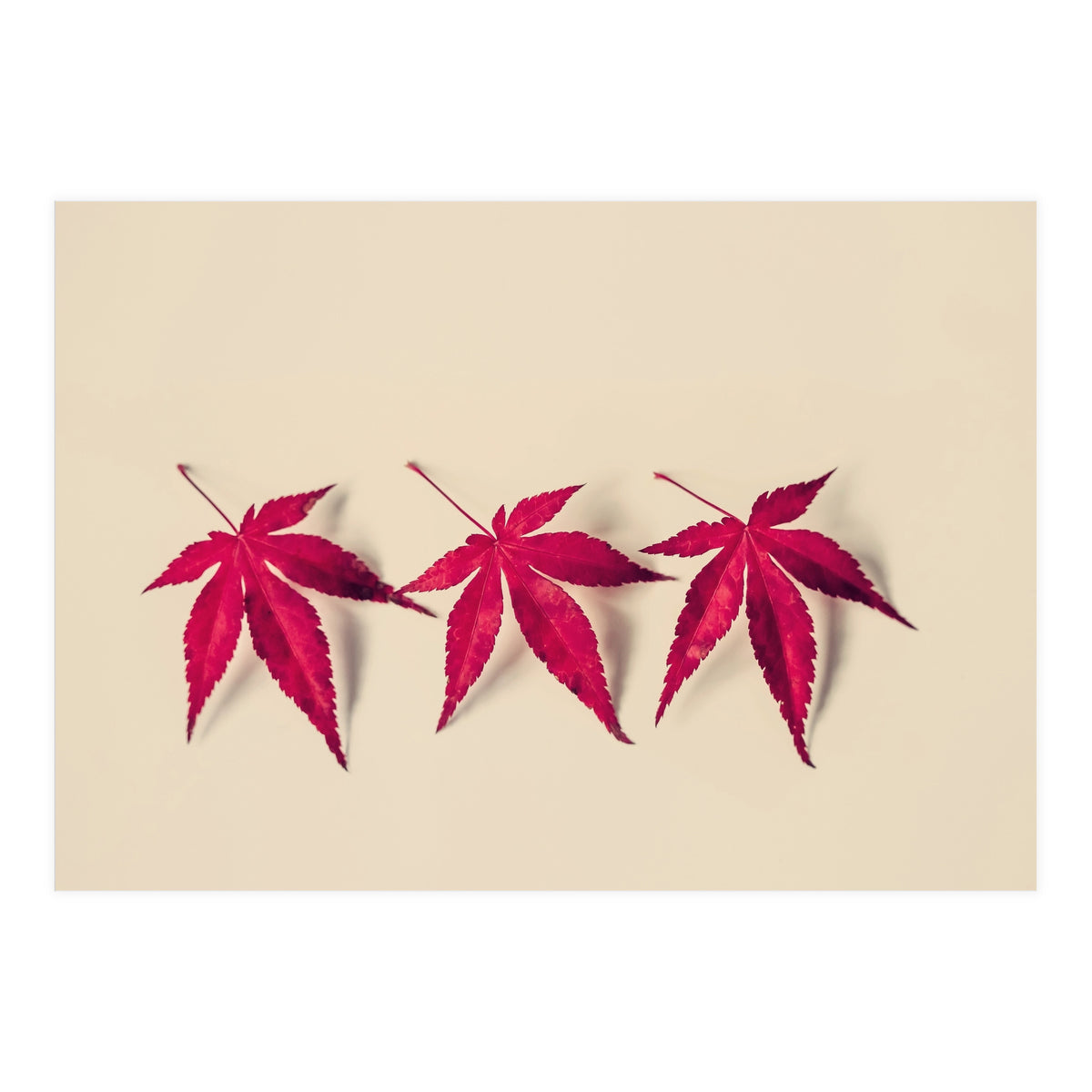 Dancing Leaves (Print Only)
