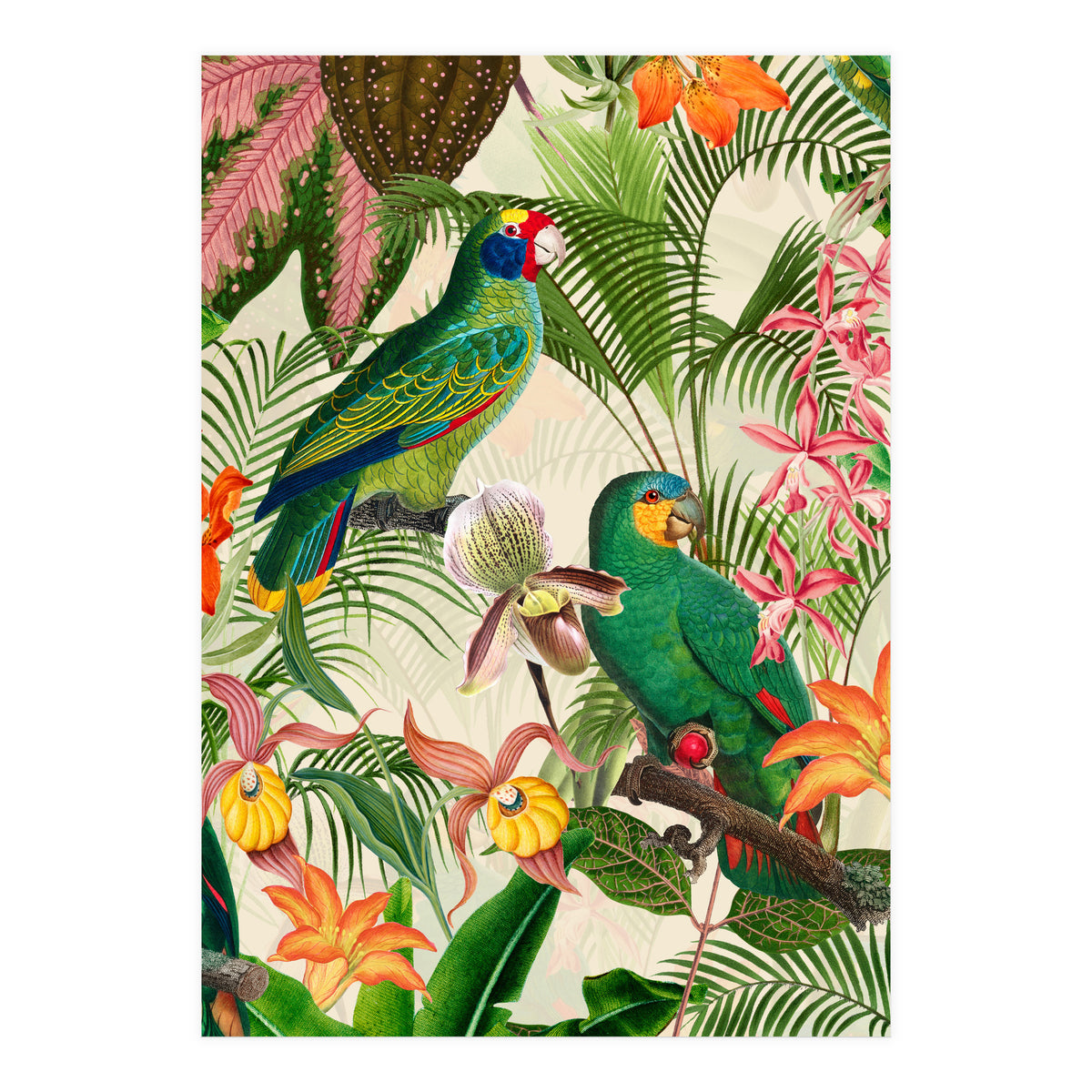 Parrots in tropical Jungle (Print Only)