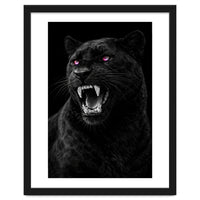 Black leopard with colorful eyes portrait