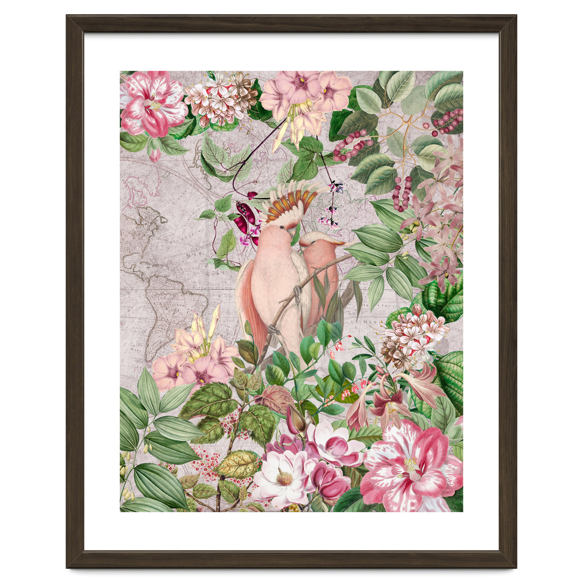 Parrot Exotic Jungle