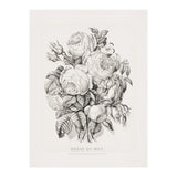 Currier & Ives – Rose of May (1870) (Print Only) thumbnail