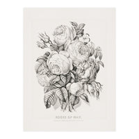 Currier & Ives – Rose of May (1870) (Print Only)