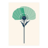 Teal Half Poppy (Print Only) thumbnail