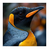 King Penguin With Water Droplets In Rain (Print Only) thumbnail