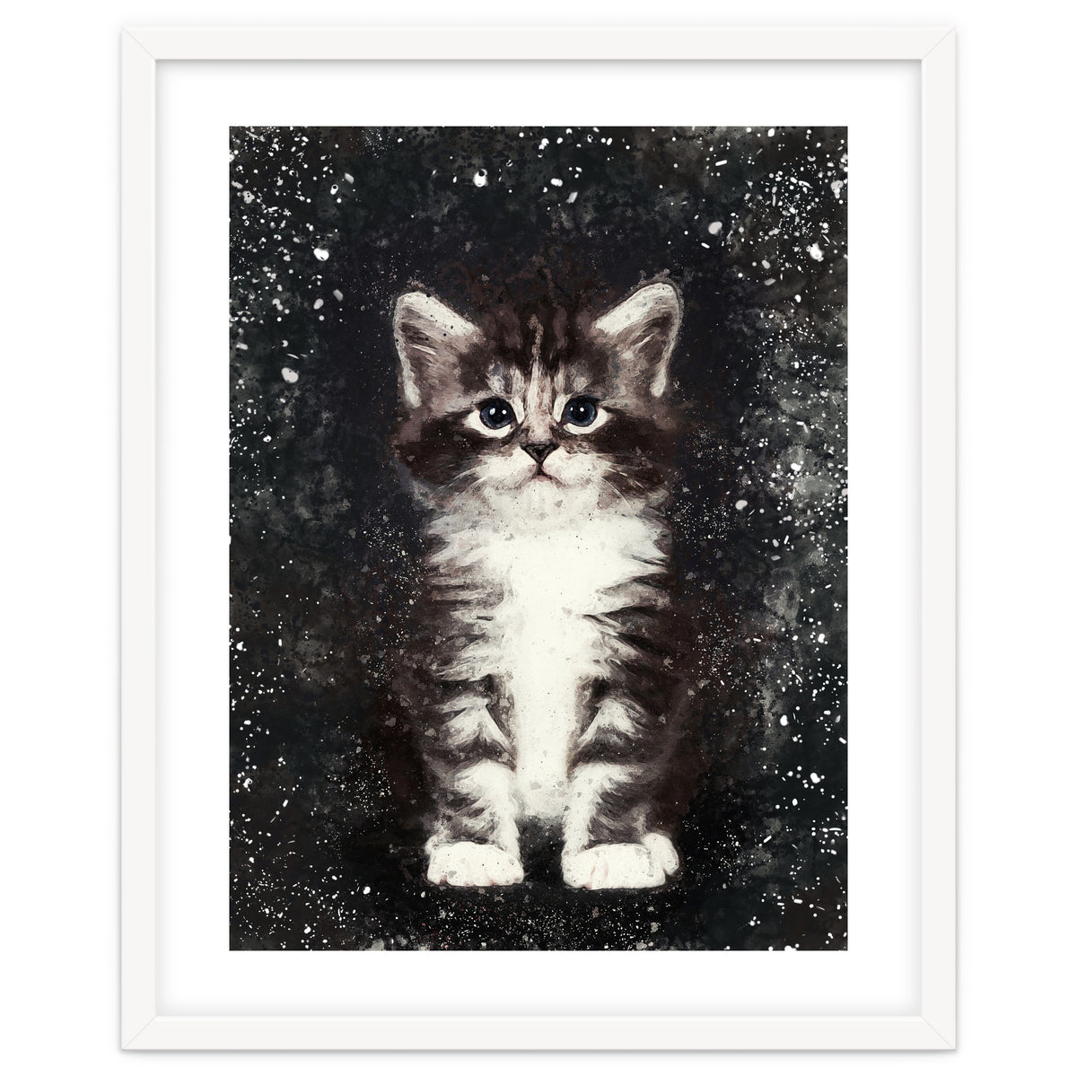 Bicolor Cute Kitten Portrait