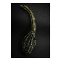 Gourds No 9 Color Version (Print Only)
