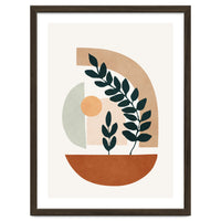 Soft Shapes III