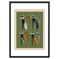 Striped Lemurs