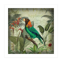 Tropical Bird Nostalgia  (Print Only)