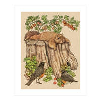 Splootingcolor (Print Only)