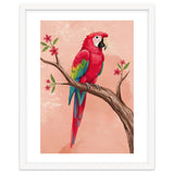 Red Macaw Parrot Bird Forest thumbnail