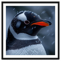 Close Up Penguin Portrait In Snowy Weather