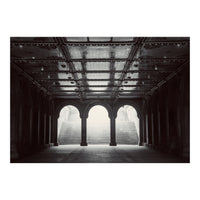 Levitation (Print Only)