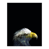 What It A Dream (Print Only) thumbnail
