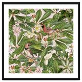 Tropical Bird Garden thumbnail