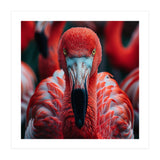 Close Up Flamingo Head With Bright Red Feathers (Print Only) thumbnail