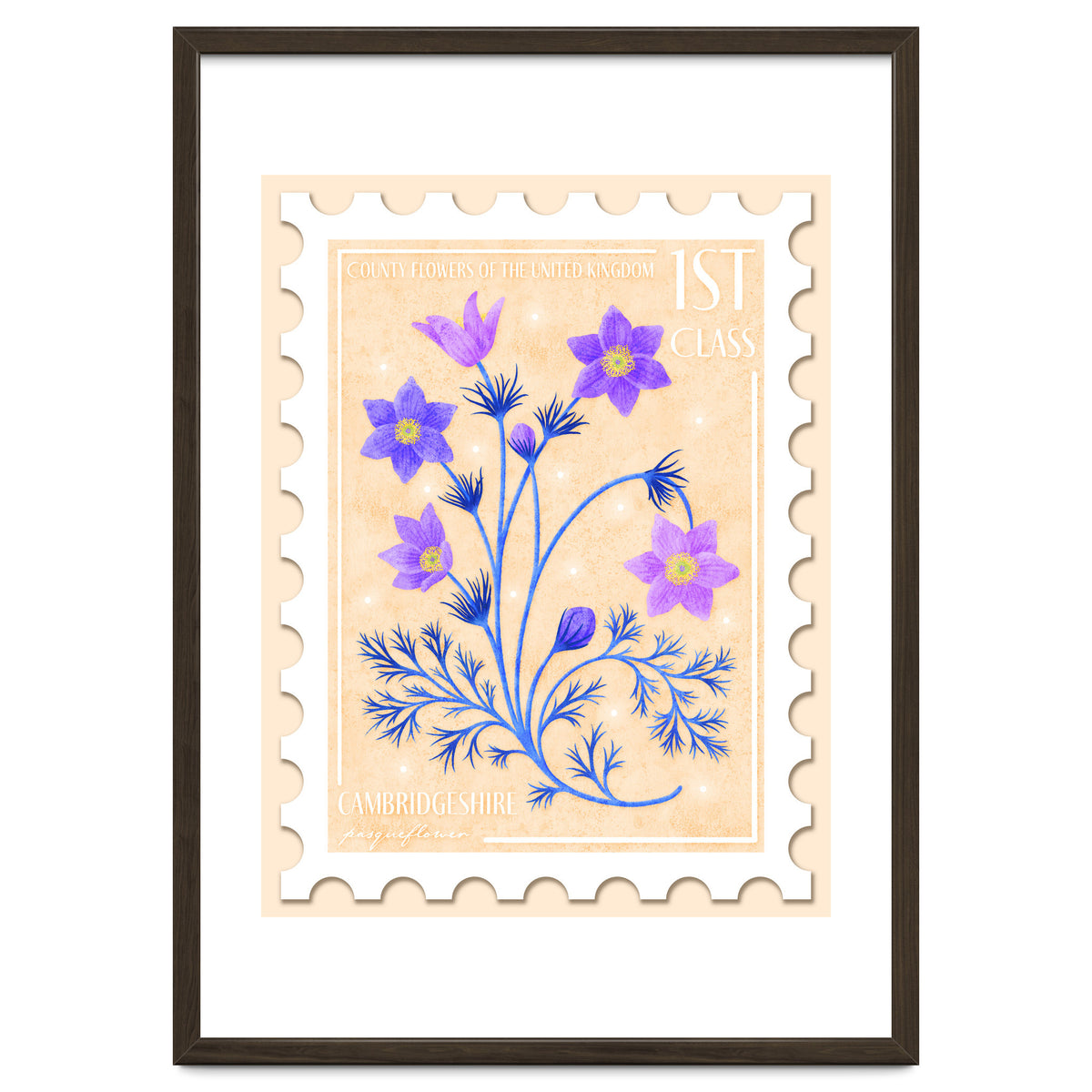 The Cambridgeshire Pasqueflower Postage Stamp