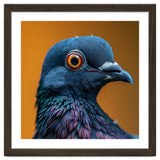 Close Up Of A Pigeon's Head And Neck thumbnail