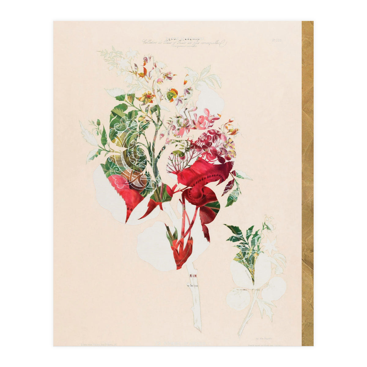 The First Plant · Aufbluehen (Print Only)