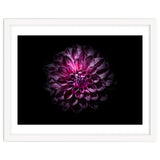Backyard Flowers No 57 Color Version thumbnail